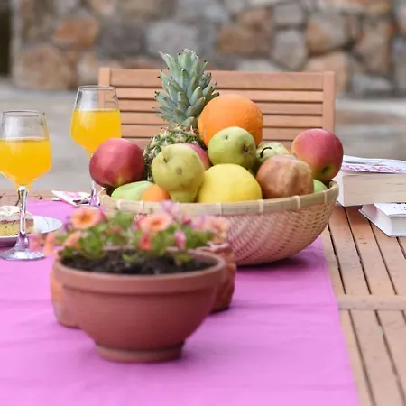 Hébergement de vacances Holiday In Ston/peljesac 37221